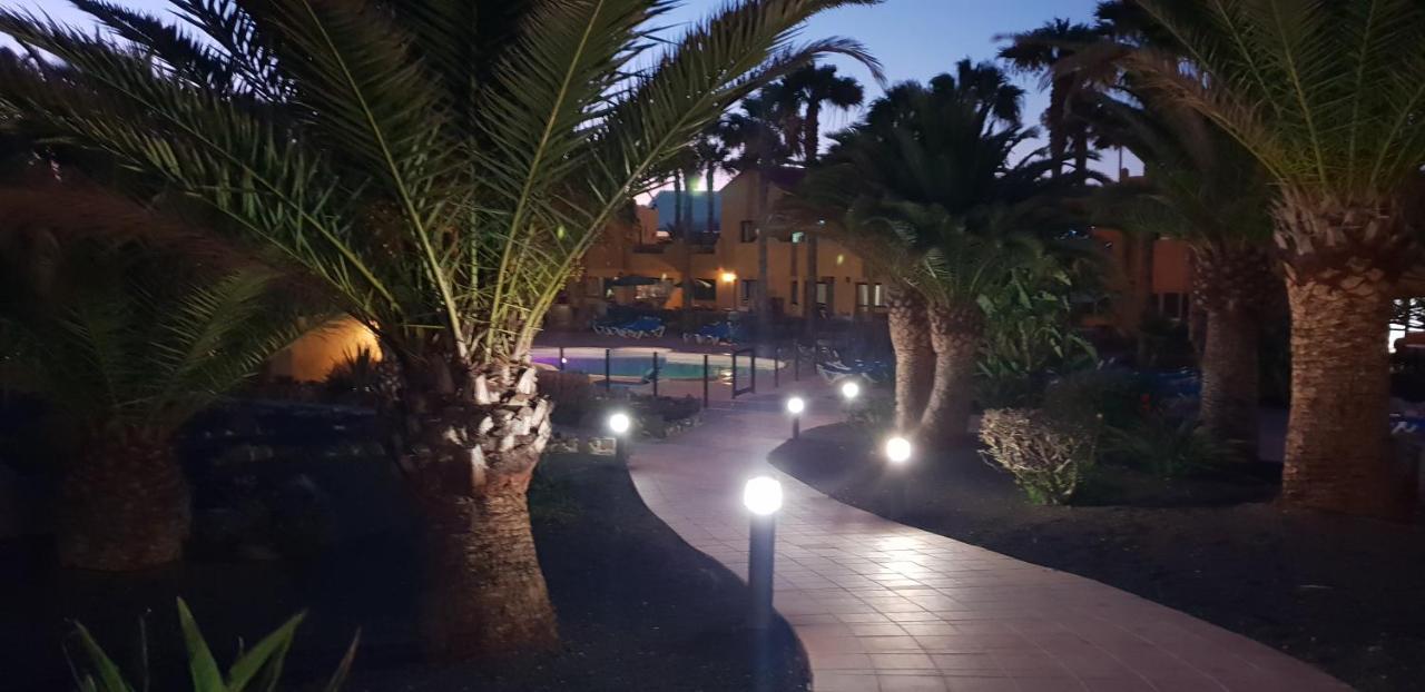 Oasis Royal 3 Piscinas Διαμέρισμα Κοραλέχο Εξωτερικό φωτογραφία